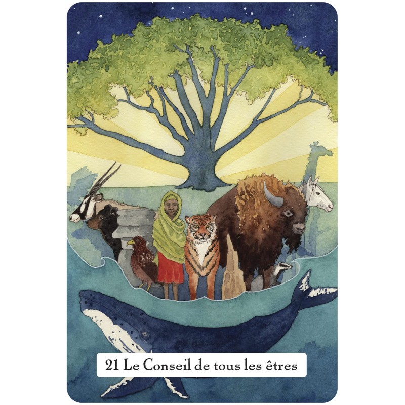 Le Tarot De La Sagesse Des Sorcieres Phyllis Curott