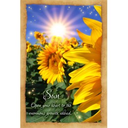 Fortune Reading Cards - Sharina Star