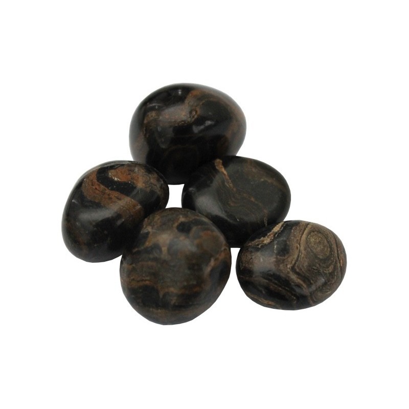 STROMATOLITE PIERRE DE 2 A 3 CM