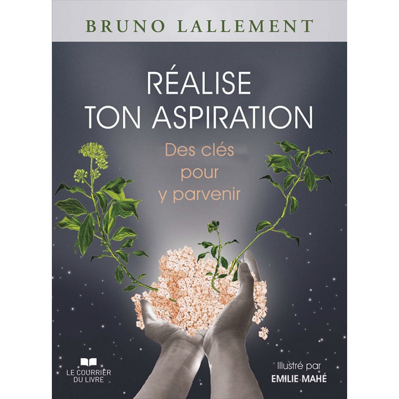 REALISE TON ASPIRATION - BRUNO LALLEMENT