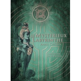 LE MYSTERIEUX LABYRINTHE - ANAIS CETOWN