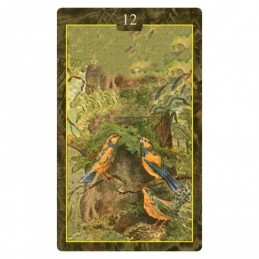 ORACLE LENORMAND