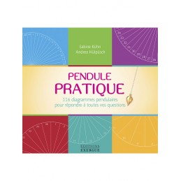 PENDULE PRATIQUE - 116...