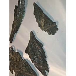 STIBINE LOT DE 50 GR