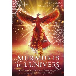 MURMURE DE L UNIVERS - DEBBIE MALONE