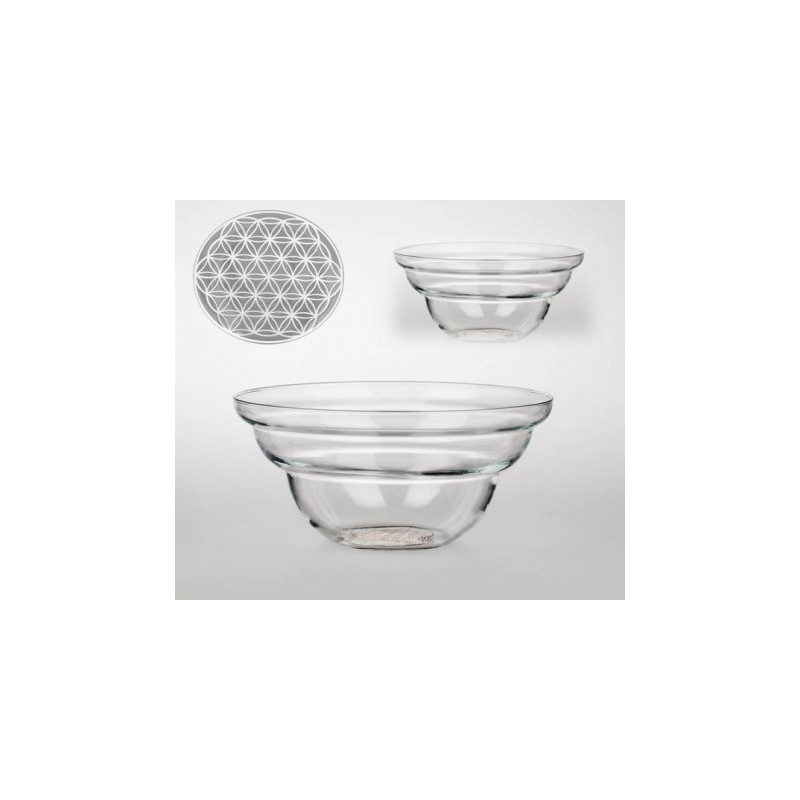 Coupe Vital Cotula - fleur de vie Blanche- Petit