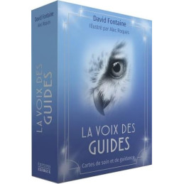 LA VOIX DES GUIDES - DAVID FONTAINE