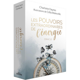 LES POUVOIRS EXTRAORDINAIRES DE L'ENERGIE - CHARLOTTE DAYNES