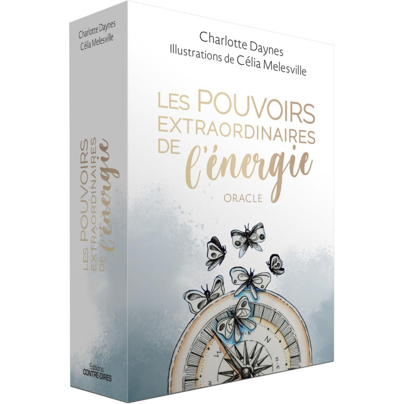 LES POUVOIRS EXTRAORDINAIRES DE L'ENERGIE - CHARLOTTE DAYNES