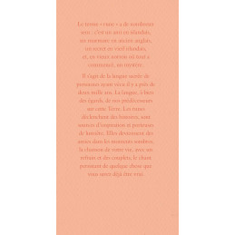 LE PETIT GUIDE DES RUNES - MADELEINE DU FRAYNE