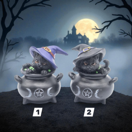 CHAT SORCIER WICCA