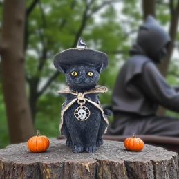 CHAT SORCIER WICCA