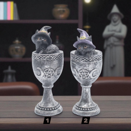 CHAT SORCIER WICCA CALICE