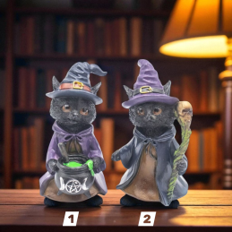 CHAT SORCIER WICCA