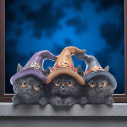 TRIO DE CHAT WICCA