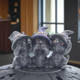 TRIO DE CHATS WICCA