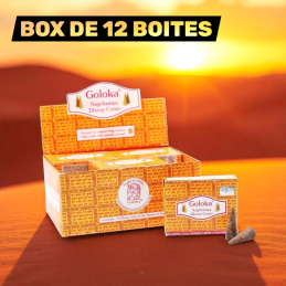 BOX DE 12 BOITES DE CONES...