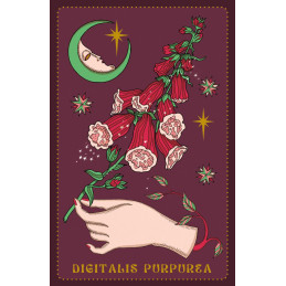 Herbarium Oracle Cards -...