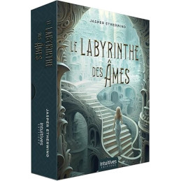 Le Labyrinthe des âmes -...