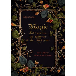 MAGIE D'ATTRACTION DE...