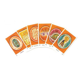 L'ORACLE DE PYRAMIDE - STEPHANIE BELLECOURT