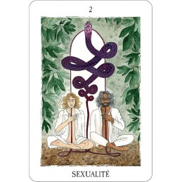 L'Oracle des Curieux Hasards - Stephan Schillinger