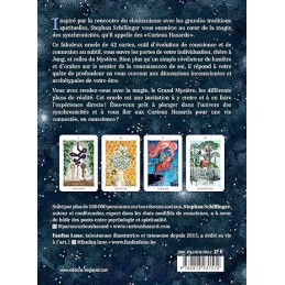 L'Oracle des Curieux Hasards - Stephan Schillinger
