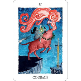 L'Oracle des Curieux Hasards - Stephan Schillinger