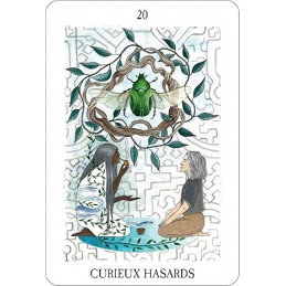 L'Oracle des Curieux Hasards - Stephan Schillinger