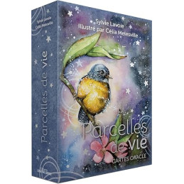 Parcelles de vie - Sylvie Lavoie