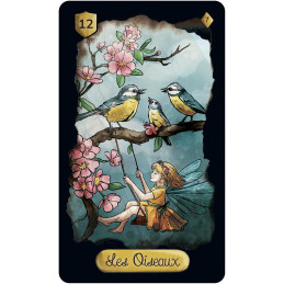 Coffret - Le Lenormand enchanté - Onyx World