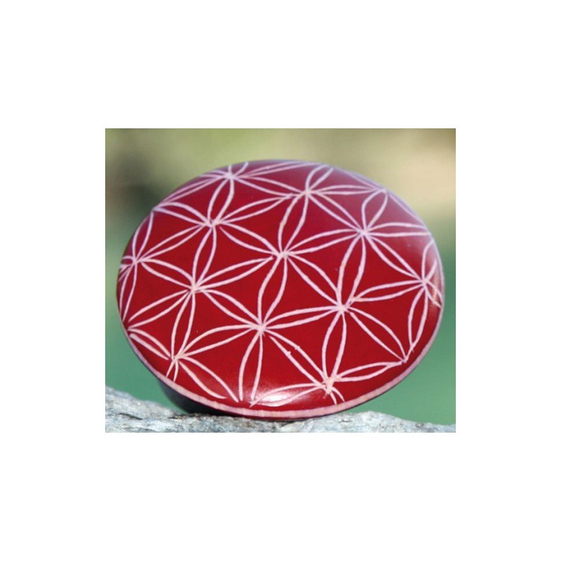 FLEUR DE VIE SUR PIERRE  ROUGE