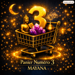 copy of PANIER  TIK TOK...