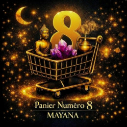 copy of PANIER  TIK TOK...