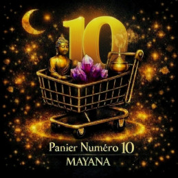 PANIER TIK TOK FACEBOOK 10