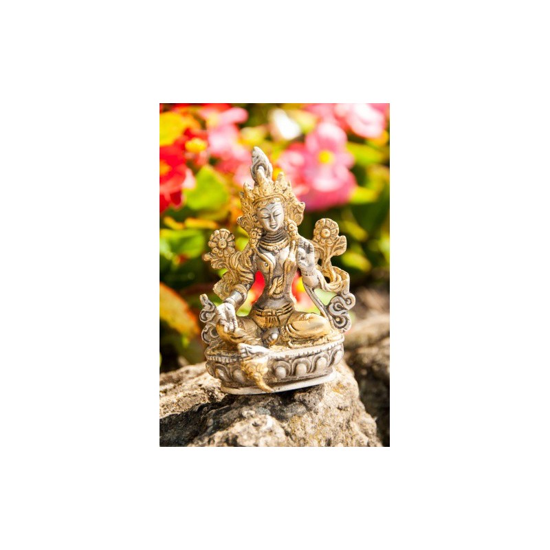 TARA VERTE BRONZE PLAQUE ARGENT 9.5 CM