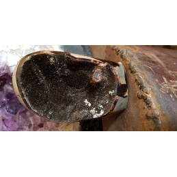 SEPTARIA SAUVAGE PETIT MODELE EXTRA