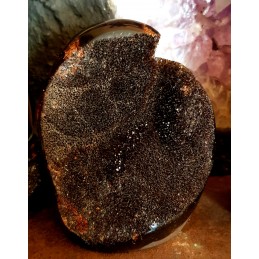 SEPTARIA SAUVAGE PETIT MODELE EXTRA