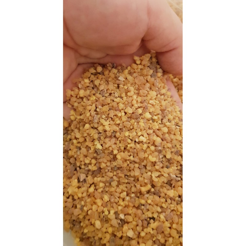 ENCENS EN GRAIN ERYTHREE 50 GR