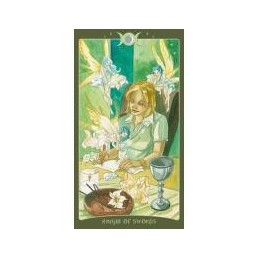 The Book of Shadows Tarot (Anglais) EDITION COMPLETE