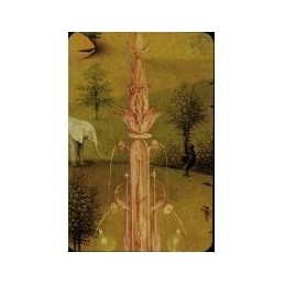 Tarot Bosch (Hieronymus Van Aeken) 